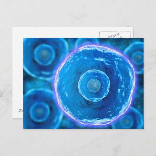 Carte Postale Vue Microscopique Des Cellules B Humaines 1 (Devant / Derrière)
