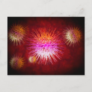 Carte Postale Vue Microscopique Des Dendrimers 1
