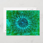 Carte Postale Vue Microscopique Des Dendrimers 3 (Devant / Derrière)