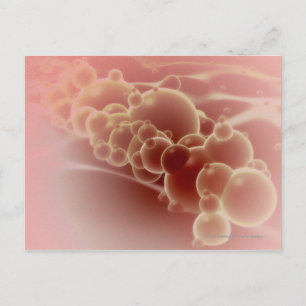 Carte Postale Vue microscopique des microsphères du latex