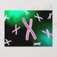 Vue Microscopique Du Chromosome 2