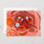 Carte Postale Vue Microscopique Du Flux De Sang À L'Intérieur D' (Devant / Derrière)