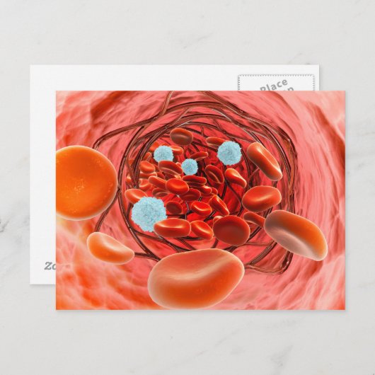 Carte Postale Vue Microscopique Du Flux De Sang À L'Intérieur D' (Devant / Derrière)