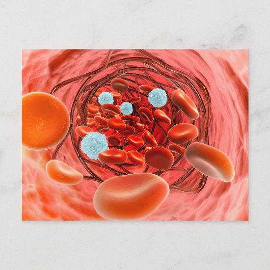 Carte Postale Vue Microscopique Du Flux De Sang À L'Intérieur D' (Devant)