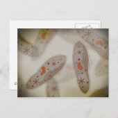 Carte Postale Vue Microscopique Du Paramètre 1 (Devant / Derrière)