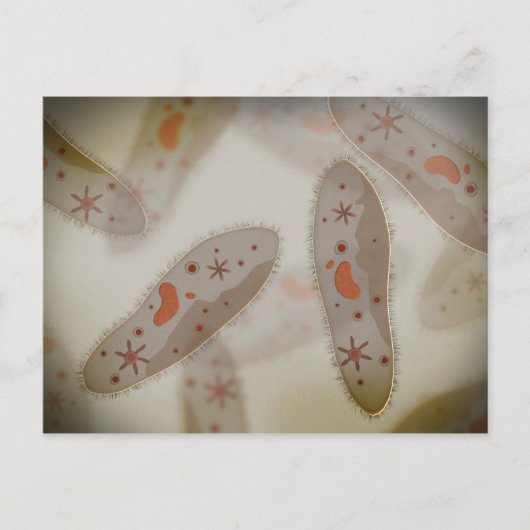 Carte Postale Vue Microscopique Du Paramètre 1 (Devant)