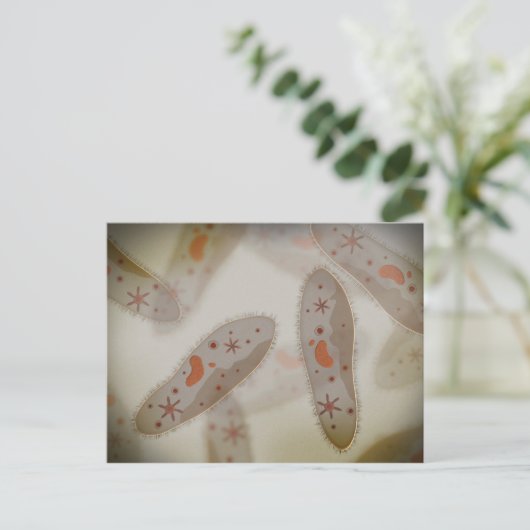 Carte Postale Vue Microscopique Du Paramètre 1 (Debout devant)