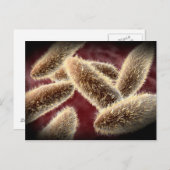 Carte Postale Vue Microscopique Du Paramètre 2 (Devant / Derrière)
