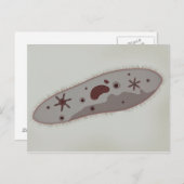 Carte Postale Vue Microscopique Du Paramètre 3 (Devant / Derrière)