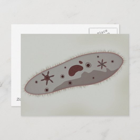Carte Postale Vue Microscopique Du Paramètre 3 (Devant / Derrière)