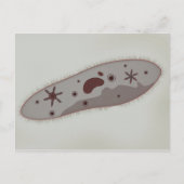 Carte Postale Vue Microscopique Du Paramètre 3 (Devant)