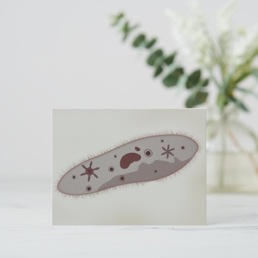 Carte Postale Vue Microscopique Du Paramètre 3 (Debout devant)