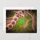 Carte Postale Vue Microscopique Du Streptococcus Pneumoniae (Devant / Derrière)