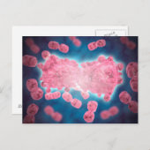 Carte Postale Vue Microscopique D'Un Groupe De Cellules Leucémiq (Devant / Derrière)