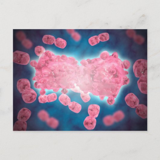 Carte Postale Vue Microscopique D'Un Groupe De Cellules Leucémiq (Devant)