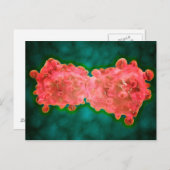 Carte Postale Vue Microscopique D'Une Cellule Leucémique (Devant / Derrière)