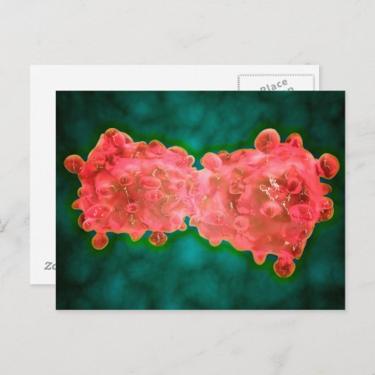 Carte Postale Vue Microscopique D'Une Cellule Leucémique (Devant / Derrière)
