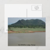 Carte Postale Vue naturelle du Voi Wildlife Lodge (Devant / Derrière)