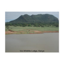 Vue naturelle du Voi Wildlife Lodge