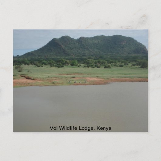 Carte Postale Vue naturelle du Voi Wildlife Lodge (Devant)