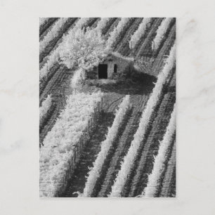 Carte Postale Vue noir et blanc d'une petite grange en pierre