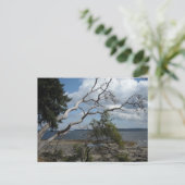 Carte Postale Vue océan (Debout devant)