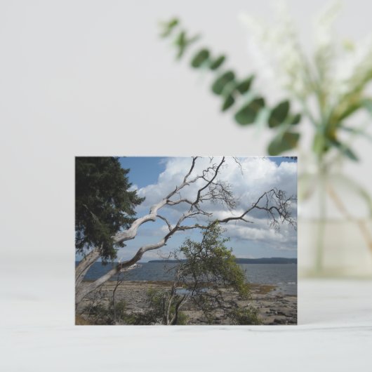 Carte Postale Vue océan (Debout devant)