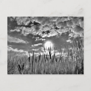 Carte Postale Vue oeil de canard