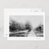 Carte Postale Vue ouest de Parnell Avenue (Devant / Derrière)