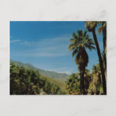 Carte Postale Vue Palm Springs (Devant)