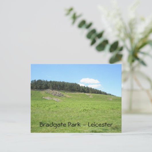 Carte Postale Vue panoramique Bradgate Park (Debout devant)