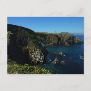 Carte Postale Vue panoramique de l'île d'Anacapa aux îles du dét