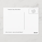 Carte Postale Vue panoramique du centre-ville de Tampa (Dos)