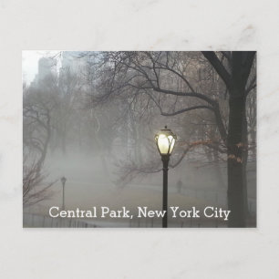 Carte Postale Vue panoramique du parc Central New York Hiver Bro