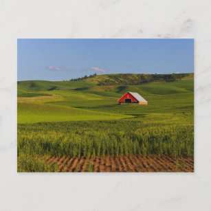 Carte Postale Vue pittoresque d'une grange à Moscou Idaho.