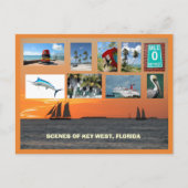 Carte Postale Vue pittoresque Key West, Floride (Devant)
