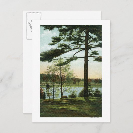 Carte Postale Vue pittoresque sur le réservoir de Chestnut Hill (Devant / Derrière)