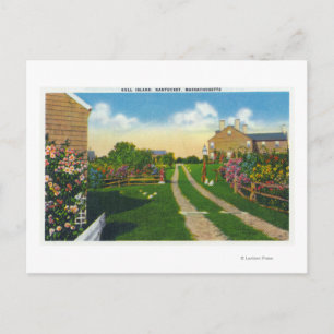 Carte Postale Vue pittoresque sur l'île de Gull