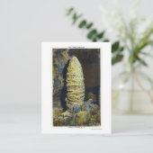 Carte Postale Vue rapprochée de la pagode chinoise (Debout devant)