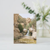 Carte postale vue réserve naturelle Ein Gedi (Debout devant)