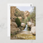 Carte postale vue réserve naturelle Ein Gedi (Devant / Derrière)