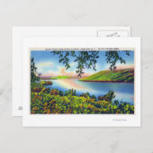 Carte Postale Vue routière d'état de Bluff Point (Devant / Derrière)