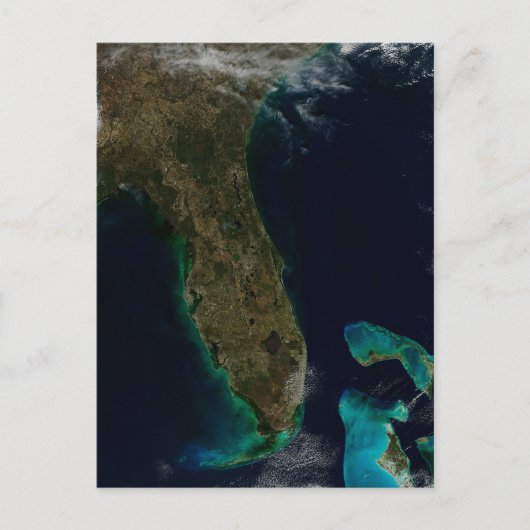 Carte Postale Vue satellite de Floride. (Devant)