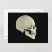Carte Postale Vue Secondaire Du Crâne Humain (Devant / Derrière)