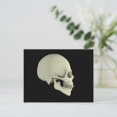 Carte Postale Vue Secondaire Du Crâne Humain (Debout devant)