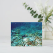 Carte postale Vue sous-marine (Debout devant)