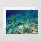 Carte postale Vue sous-marine (Devant / Derrière)