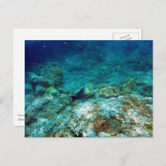 Carte postale Vue sous-marine (Devant / Derrière)