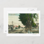 Carte Postale Vue sud de Auburn Street (Devant / Derrière)