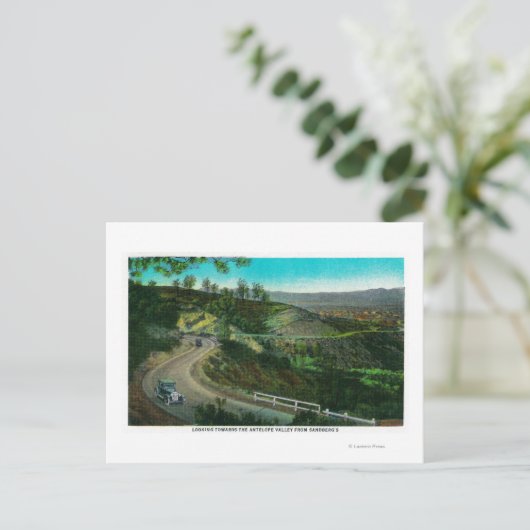 Carte Postale Vue sur Antelope Valley depuis Sandberg's (Debout devant)
